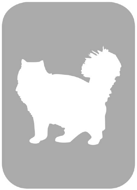 Szablon do tatuażu - Koty 12O