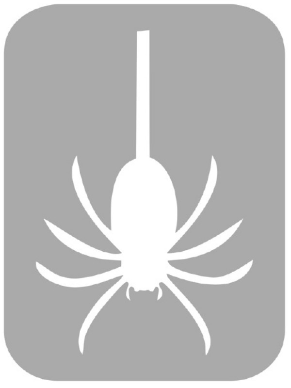 Szablon do tatuażu - Pająki 30H