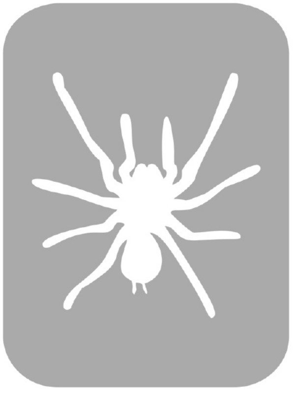 Szablon do tatuażu - Pająki 30B