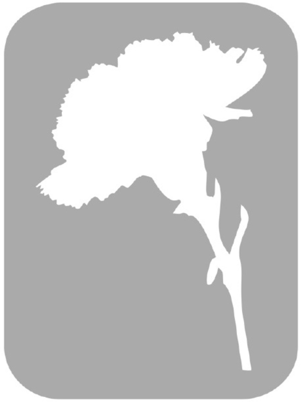 Szablon do tatuażu - Kwiaty 13A