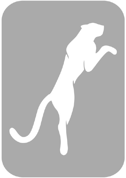 Szablon do tatuażu - Puma 22L